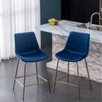 Modern Velvet 26.50 Counter Height Stool (Set of 2)