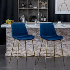 Modern Velvet 26.50 Counter Height Stool (Set of 2)
